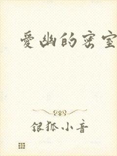 爱幽的密室小说封面