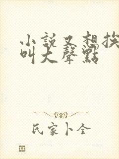 小说又想挨C了叫大声点