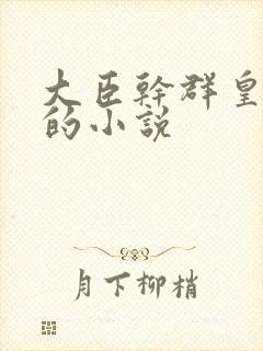 大臣干群皇太后的小说