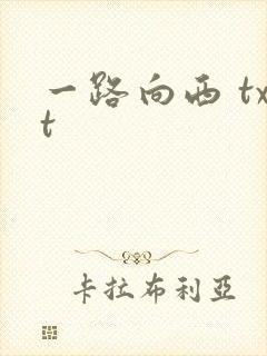 一路向西 txt封面