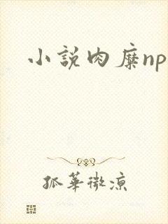 小说肉糜np