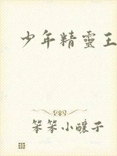 少年精灵王封面
