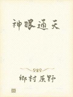 神眼通天封面
