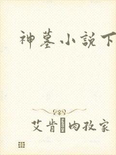神墓小说下载