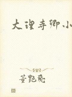 大理寺卿小说封面