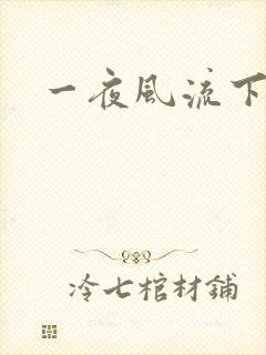 一夜风流下载