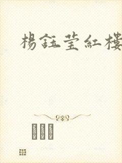 杨钰莹红楼封面