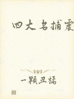 四大名捕震关东