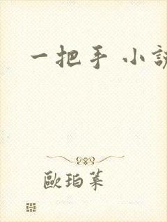 一把手 小说