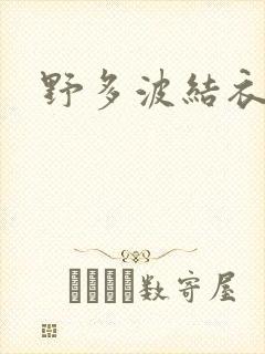 野多波结衣