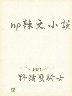 np辣文小说
