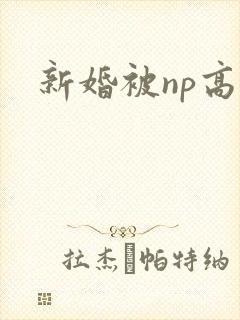 新婚被np高h