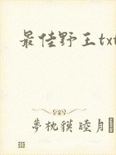 最佳野王txt封面