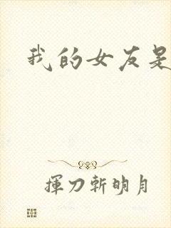 我的女友是蓝领封面