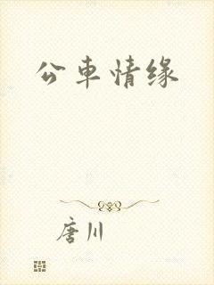 公车情缘