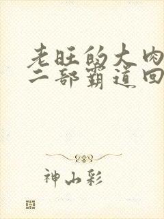 老旺的大肉蟒第二部霸道回归小说封面