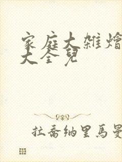 家庭大杂烩小说大全儿