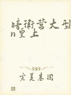 暗卫营大型hpn皇上封面