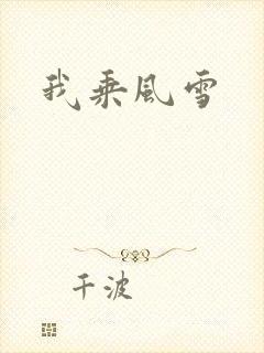 我乘风雪