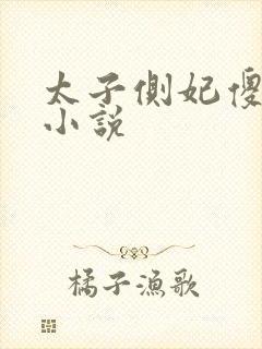 太子侧妃傻乎乎小说封面