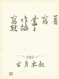 写作业写着写着就插了