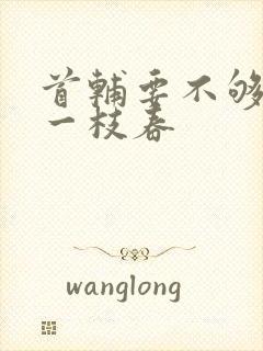 首辅要不够po一枝春