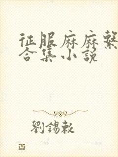 征服麻麻系列大合集小说