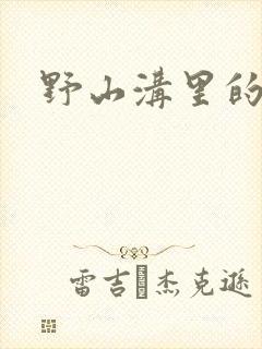 野山沟里的村庄