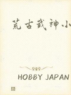荒古武神小说