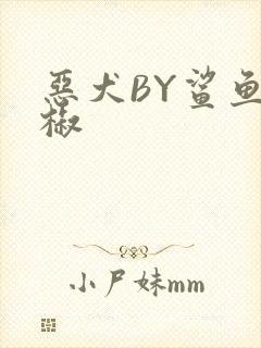 恶犬BY鲨鱼辣椒