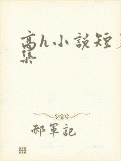 高h小说短篇合集