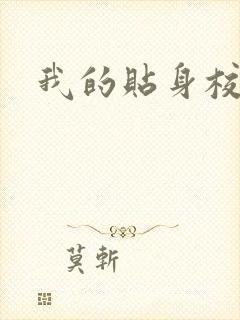 我的贴身校花