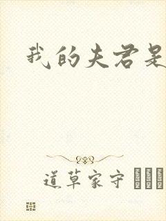 我的夫君是冥王