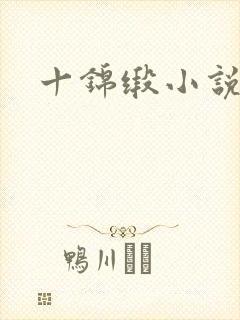 十锦缎小说