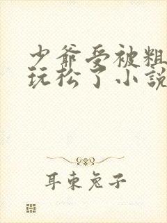 少爷受被粗汉H玩松了小说封面