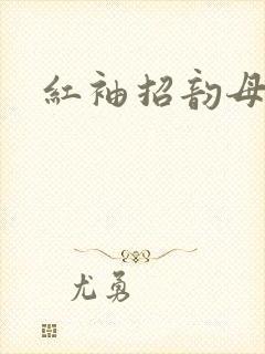 红袖招韵母攻略封面