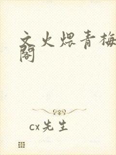 文火煨青梅笔趣阁封面