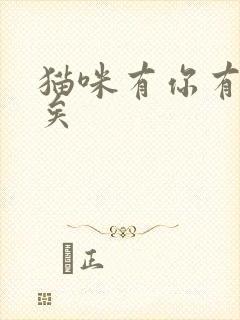 猫咪有你有我足矣
