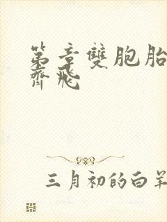 第章双胞胎姐妹齐飞