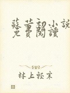 苏若初小说全文免费阅读封面