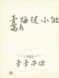 青梅从小做到大高h封面