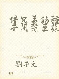 借兄弟的种生孩子周楚臣苏糖