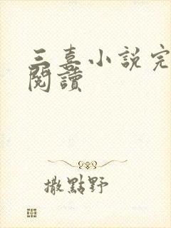 三喜小说完整版阅读