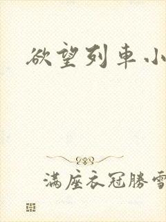 欲望列车小说