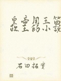 皇帝用玉笛整摄政王的小说