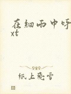 在细雨中呼喊txt