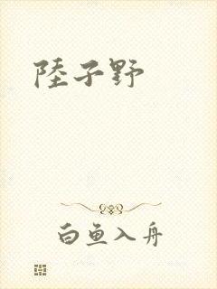 陆子野封面
