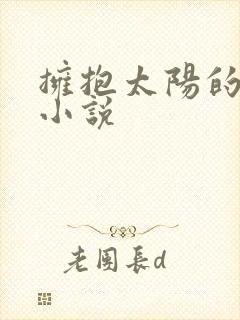 拥抱太阳的月亮小说