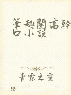 笔趣阁高干文入口小说