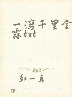 一泻千里金银花露txt